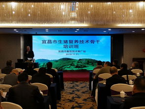 科技賦能，精準(zhǔn)施策——市畜牧技術(shù)推廣站舉辦專題培訓(xùn)班，全力助推生豬復(fù)產(chǎn)保供給